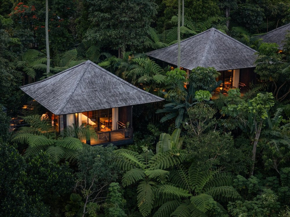 The property seen from above the treeline