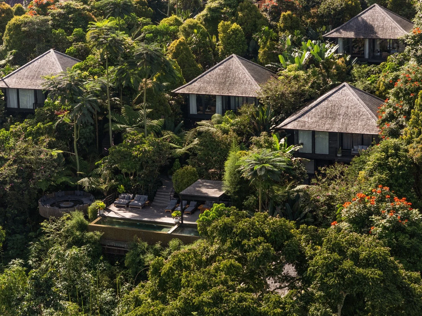 Munduk Cabins from the air, the cabins set into the jungle above the pool and fire pit