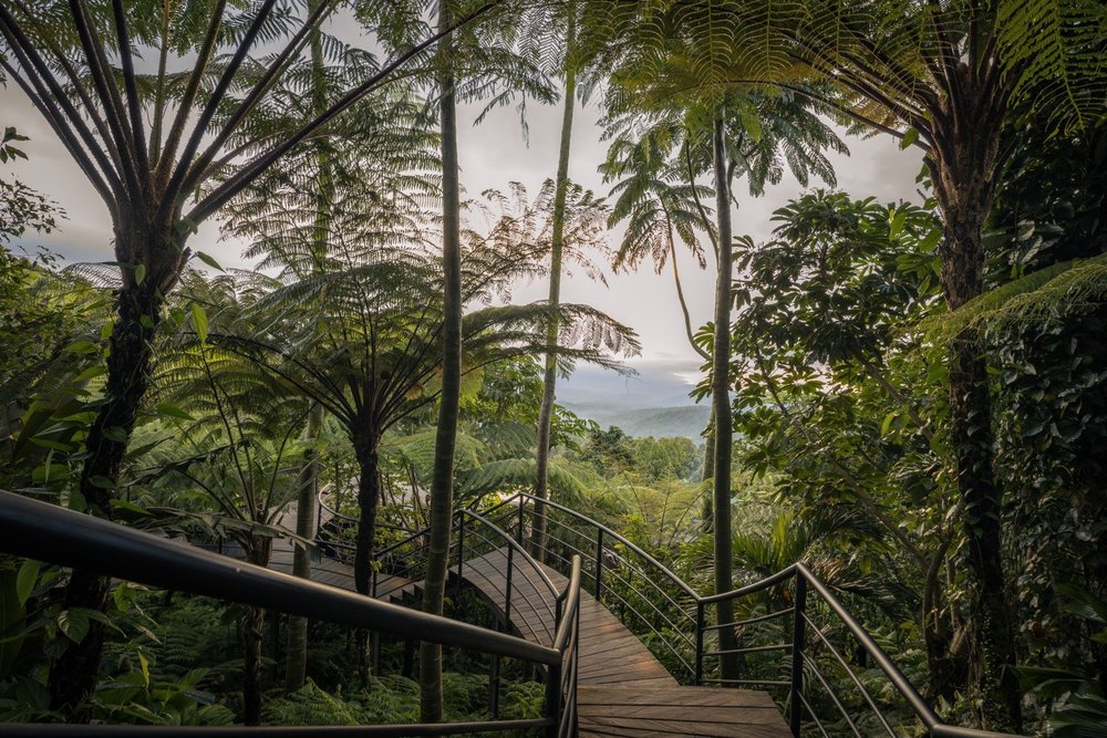 The stairs between the cabins