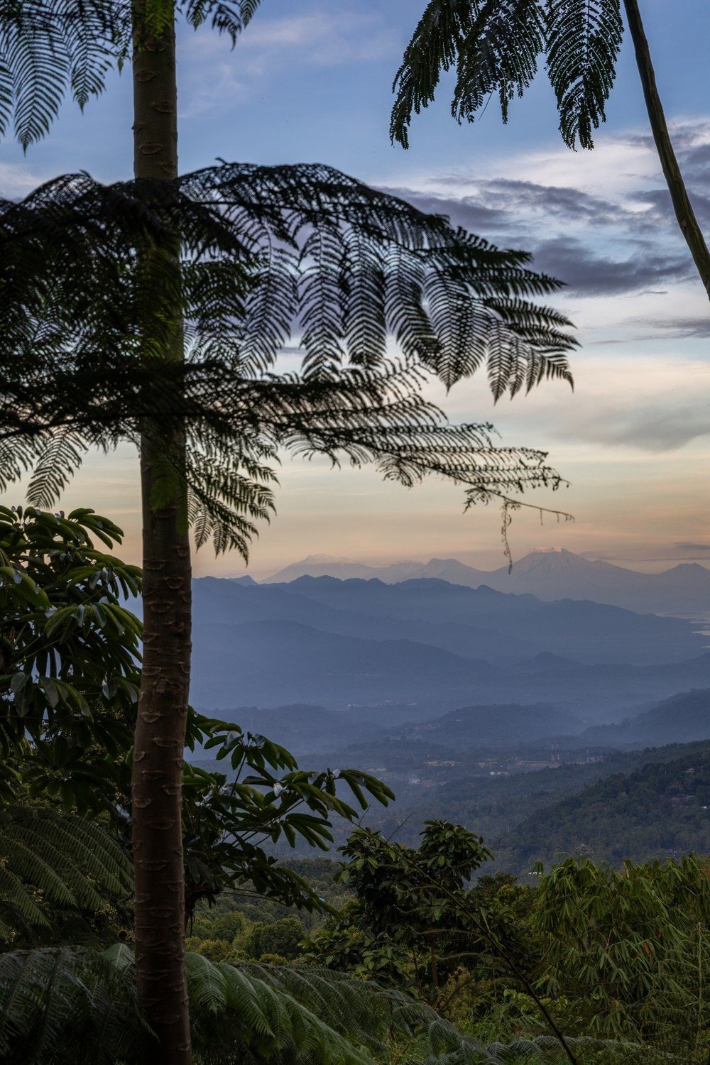 The view north-west over jungle, sea and volcanoes